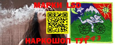 мяу мяу мука Гатчина
