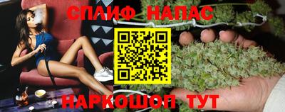 мяу мяу мука Гатчина