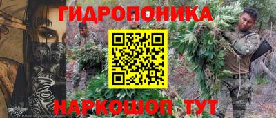 мяу мяу мука Гатчина